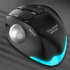 Souris ergonomique Trackball Bluetooth sans fil